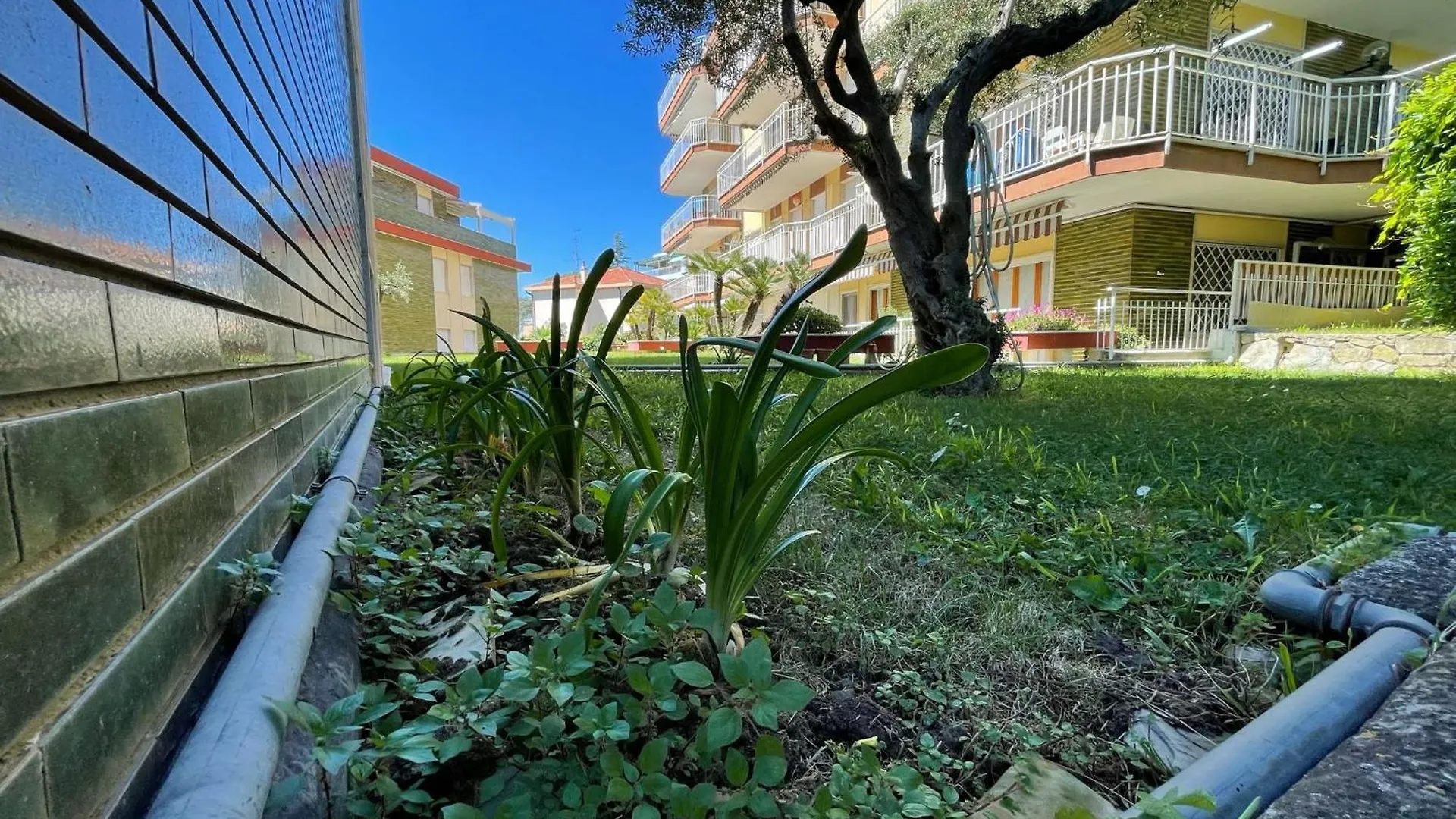 Appartamento Wh - Nella'S Home - Trilocale Duca Sanremo Italia
